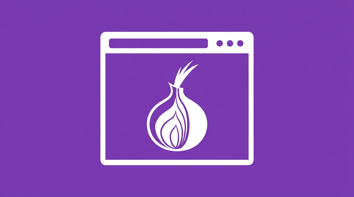 Tor Browser onion network setup guide